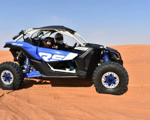 blue-can-am-2-seats-buggy