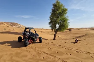 polaris-rzr-1-seat-buggy-in-desert